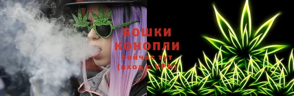 дживик Богородицк