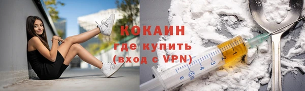 дживик Богородицк