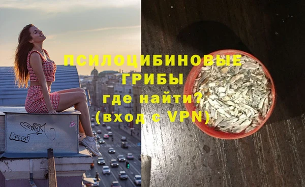мяу мяу мука Бородино