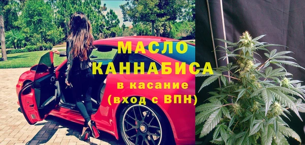 дживик Богородицк